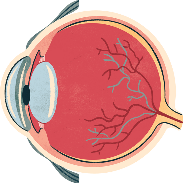 Organic Semi Lined Eyeball